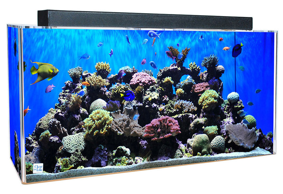 Custom, LED and Acrylic nano aquarium tank Aquariums 
