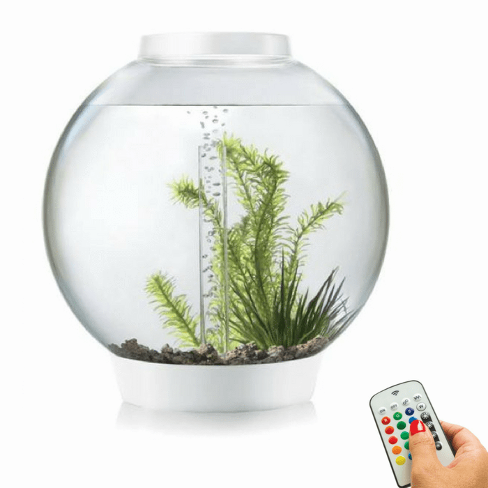 biOrb Classic 30L / 8 Gallon All-in-One Aquarium w/ Multicolor Light – Dream Fish Tanks