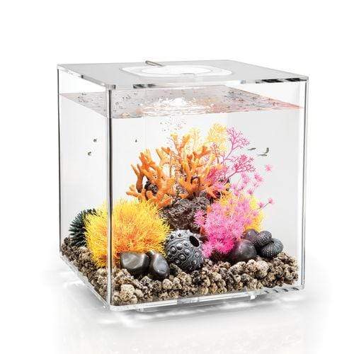 biOrb Cube 30L / 8 Gallon All-in-One Aquarium Kit w/ LED Light – Dream Fish Tanks