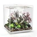 biOrb Cube 60L / 16 Gallon All-in-One Acrylic Aquarium Kit with Multicolor Light White