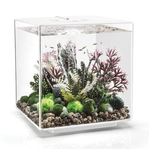 biOrb Cube 60L / 16 Gallon All-in-One Acrylic Aquarium Kit with Multicolor Light White