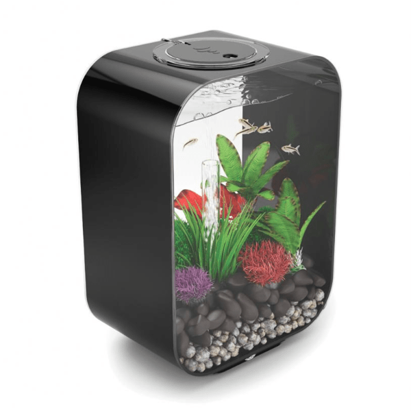biOrb Life 15L / 4 Gallon All-in-One Acrylic Aquarium Kit w/ LED Light –  Dream Fish Tanks