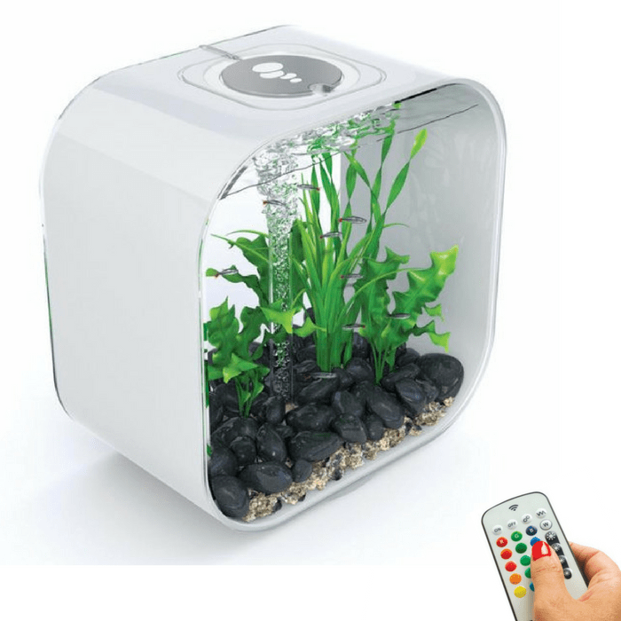 biOrb Life 30L / 8 Gallon All-in-One Acrylic Aquarium Kit w/ Multicolor Light – Dream Fish Tanks