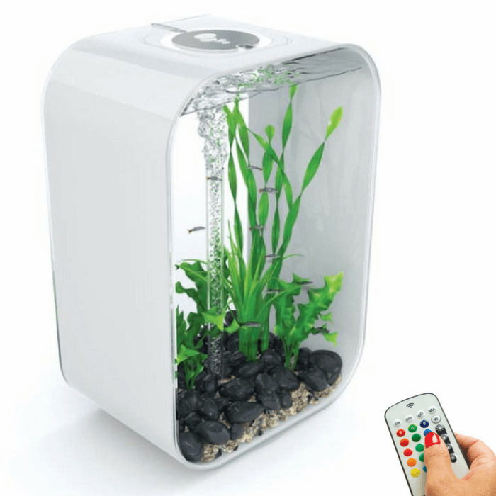 biOrb Life 45L 12 Gallon All-in-One Acrylic Aquarium Kit with Multicolor Light