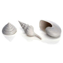 biOrb Sea Shells - Set of 3 - White (46133)