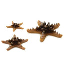 biOrb Starfish - Natural Color, Set of 3 (46137)
