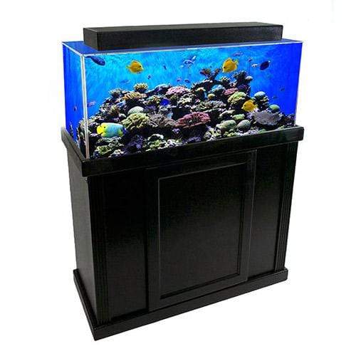 60 Gallon Fish Tank With Stand Tank Stand Petsmart 60 Gallon