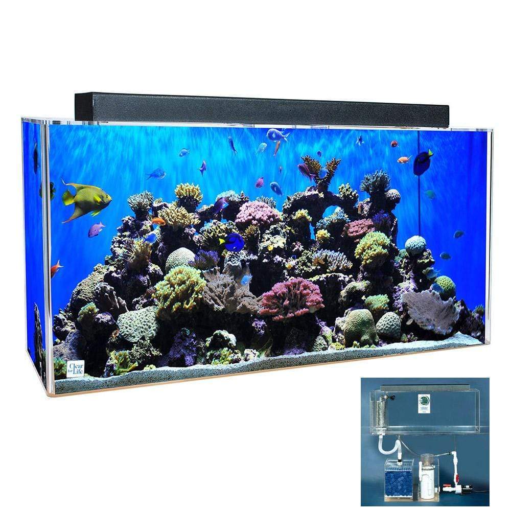 clear fish tank hooked onto inside of another fish tank Clear For Life Rectangle Aquarium, Size: 55-Gal (36L x 15W x 24H in.), Sapphire Blue