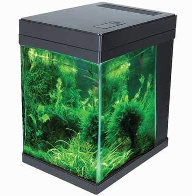 JBJ 3 gal. Cubey Aquarium - White JBJ 3 gal. Cubey Aquarium - White