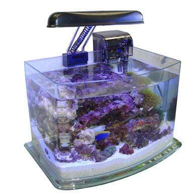 JBJ Lighting PicoTope 3 Gallon Aquarium Kit JBJ Lighting PicoTope 3 Gallon Aquarium Kit