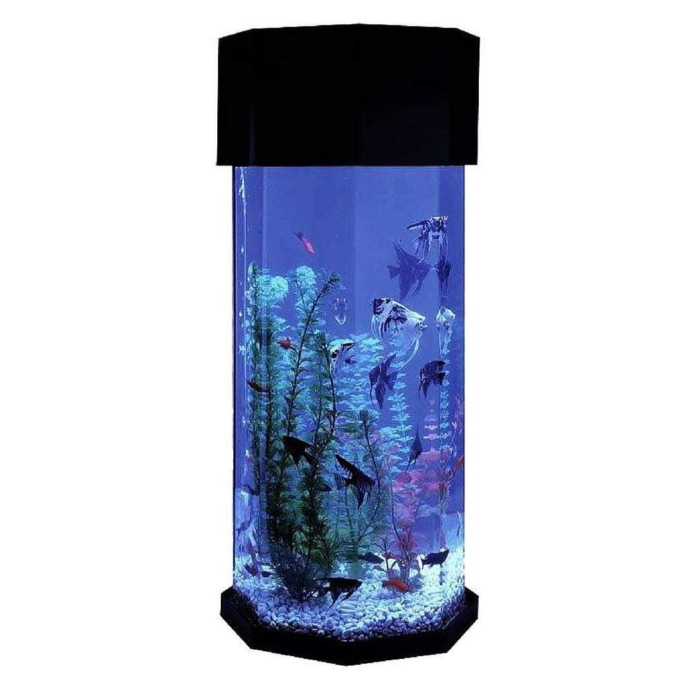 Midwest Tropical AquaScape Aquarium 10 Gallon Octagon – Dream