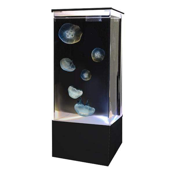Sunset Marine Labs 3ON 20 Gallon Real Jellyfish Aquarium (3ON-JF