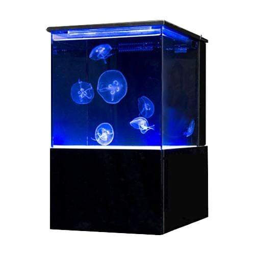 Sunset Marine Labs EON 10 Gallon Real Jellyfish Aquarium (EON-JF