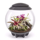 biOrb Air 60 Liter / 16 Gallon Fully Automated Terrarium with LED Lights - Gray (46148)