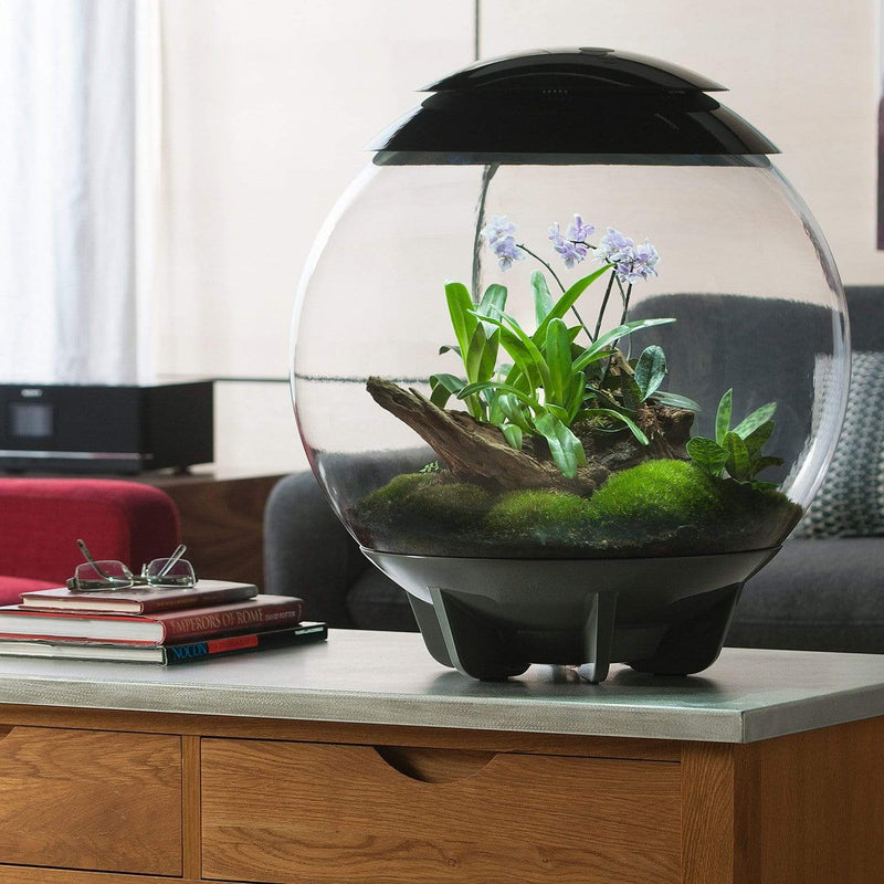 biorb terrarium plants biOrb Air 60 Liter / 16 Gallon Fully Automated Terrarium with LED Lights