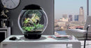 biOrb Air 60 Liter / 16 Gallon Fully Automated Terrarium with LED Lights - Gray (46148)