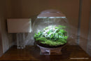 biOrb Air 60 Liter / 16 Gallon Fully Automated Terrarium with LED Lights - White (46147)