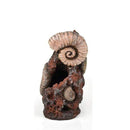 biOrb Ancient Conch Ornament (46141)
