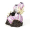 biOrb Barnacle Ornament Small - Pink (46145)
