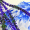 biOrb Blue / Purple Aquarium Plant Pack (46059)