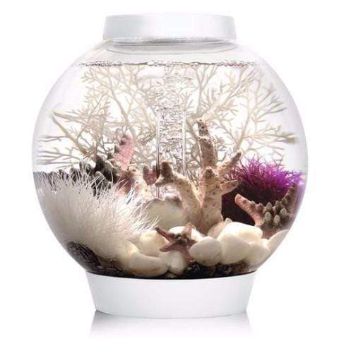 biOrb Classic 15L / 4 Gallon All-in-One Acrylic Aquarium Kit with LED Light White
