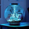 biOrb Classic 15L / 4 Gallon All-in-One Acrylic Aquarium Kit with Multicolor Light