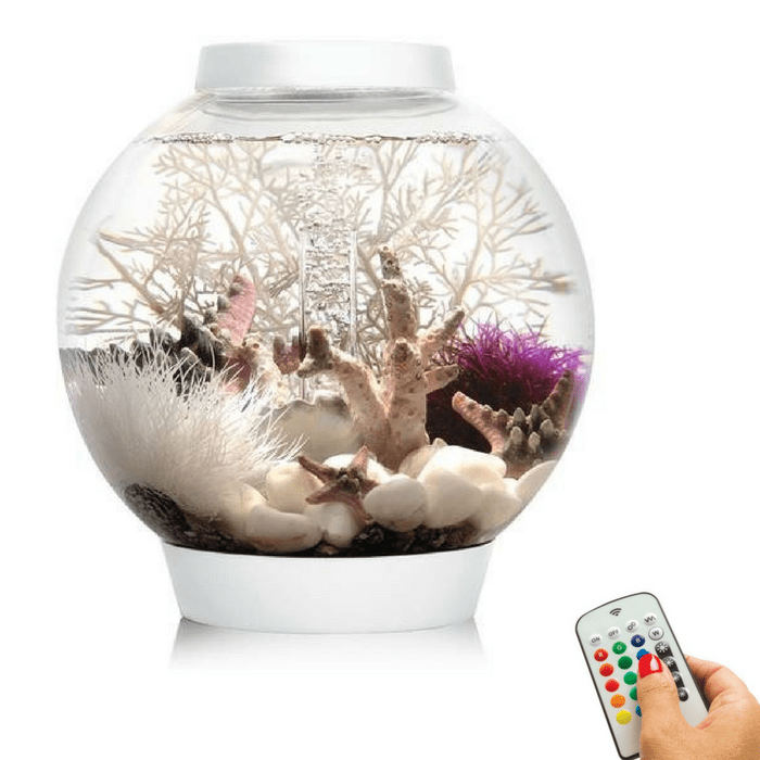 biOrb Classic 15L / 4 Gallon All-in-One Acrylic Aquarium Kit with Multicolor Light White