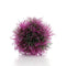 biOrb Colored Aquarium Plant Ball - Purple (46064)