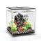 biOrb Cube 30L / 8 Gallon All-in-One Acrylic Aquarium Kit with LED Light