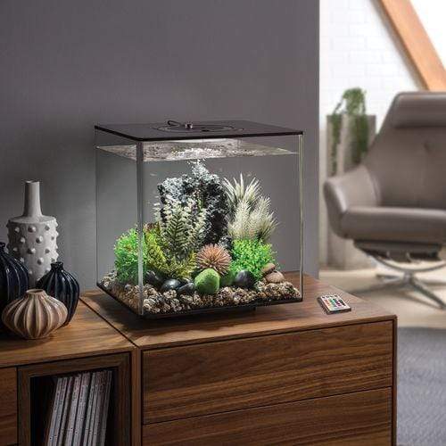 biOrb Cube 30L / 8 Gallon All-in-One Aquarium w/ Multicolor Light ...