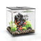 biOrb Cube 30L / 8 Gallon All-in-One Acrylic Aquarium Kit with Multicolor Light