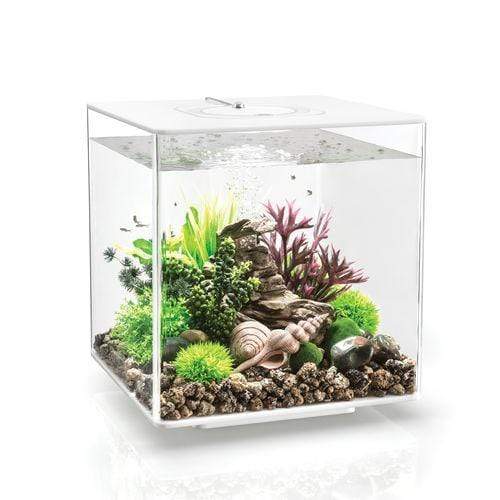biOrb Cube 30L / 8 Gallon All-in-One Acrylic Aquarium Kit with Multicolor Light