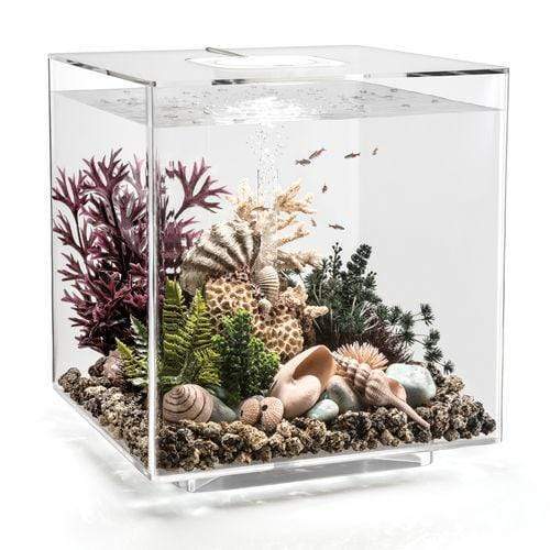 biOrb Cube 60L / 16 Gallon All-in-One Acrylic Aquarium Kit with LED Light Clear