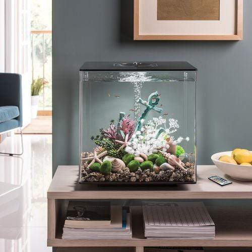 biOrb Cube 60L / 16 Gallon All-in-One Acrylic Aquarium Kit with Multicolor Light