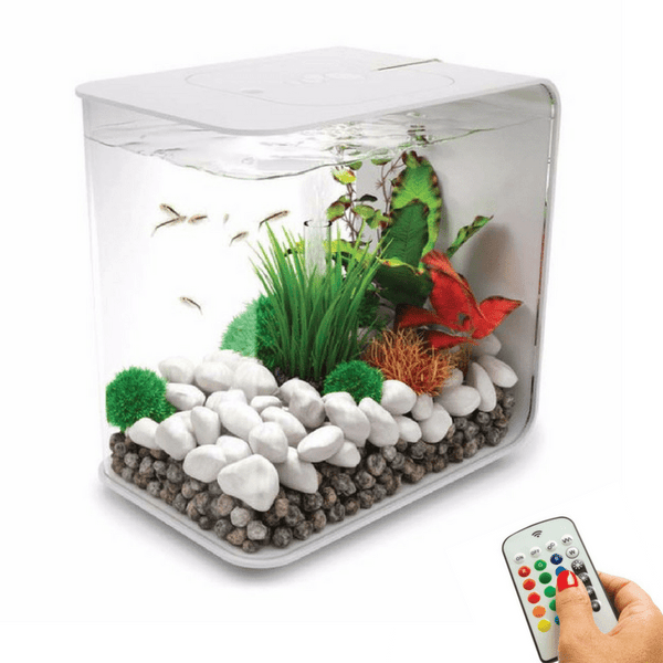 biOrb Flow 15L /4 Gallon All-in-One Acrylic Aquarium w/ Multicolor