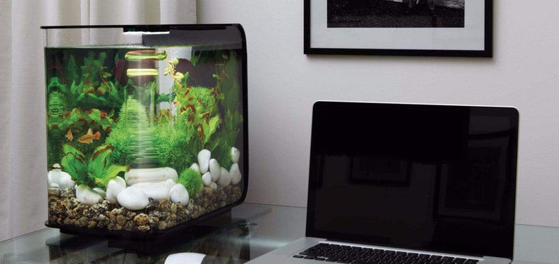biOrb Flow 30L / 8 Gallon All-in-One Acrylic Aquarium Kit w/ LED Light – Dream Fish Tanks