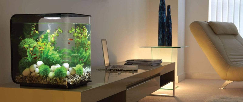 biOrb Flow 30L / 8 Gallon All-in-One Acrylic Aquarium Kit with Multicolor Light