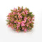 biOrb Flower Ball Topiary - Pink (46088)