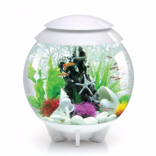 biOrb Halo 30L / 8 Gallon All-in-One Acrylic Aquarium Kit with Multicolor Light