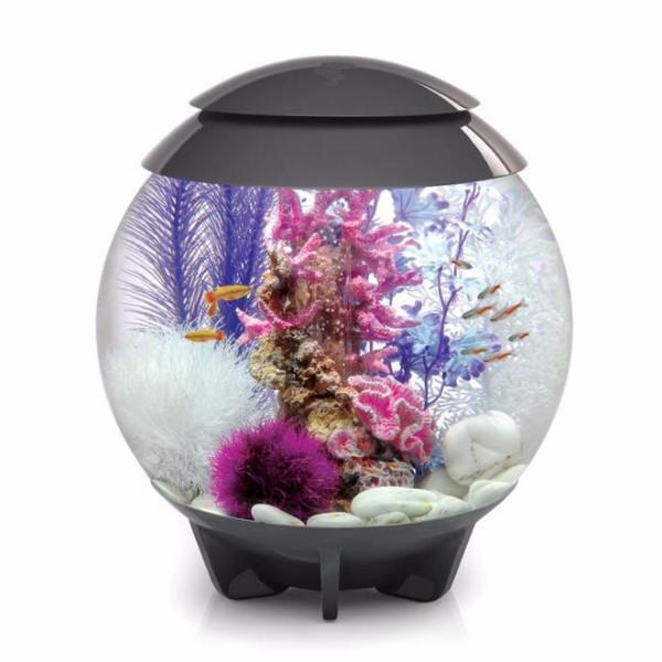 biOrb Halo 30L / 8 Gallon All-in-One Acrylic Aquarium Kit with Multicolor Light Gray