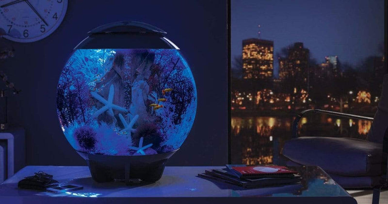 biOrb Halo 60L / 16 Gallon All-in-One Acrylic Aquarium Kit with Multicolor Light