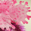 biOrb Kelp Aquarium Plants - Pink