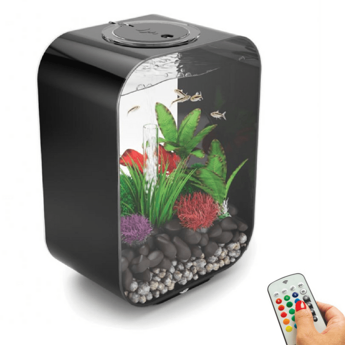 biOrb Life 15L / 4 Gallon All-in-One Acrylic Aquarium Kit with Multicolor Light Black