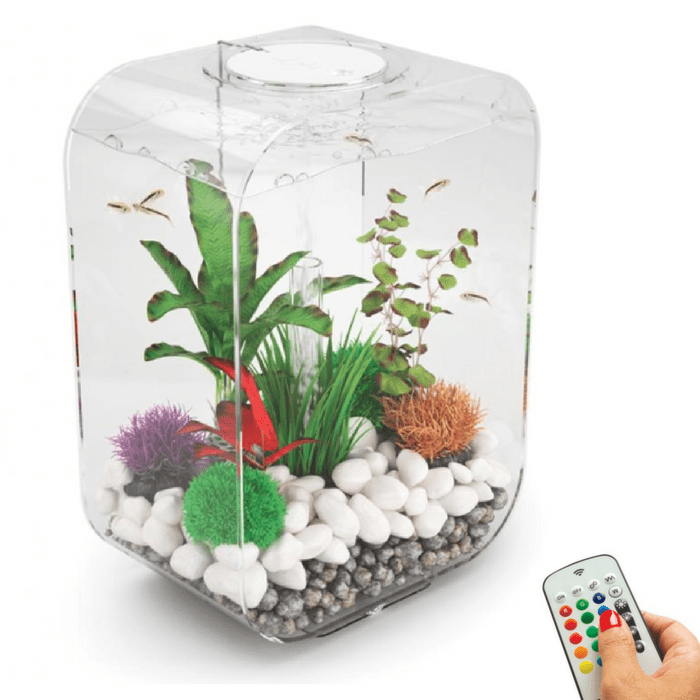 biOrb Life 15L / 4 Gallon All-in-One Acrylic Aquarium Kit with Multicolor Light Clear