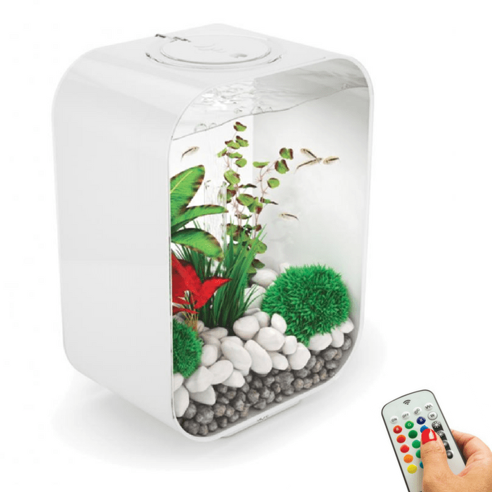 biOrb Life 15L / 4 Gallon All-in-One Acrylic Aquarium Kit with Multicolor Light White