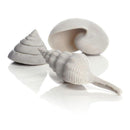 biOrb Sea Shells - Set of 3 - White (46133)