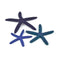 biOrb Starfish - Blue, Set of 3 (46143)