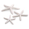 biOrb Starfish - White, Set of 3 (46134)