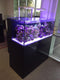 CAD Lights 100 Gallon SAIO Glass Aquarium 48 x 24 x 20 with Cabinet (18100-SAIO)