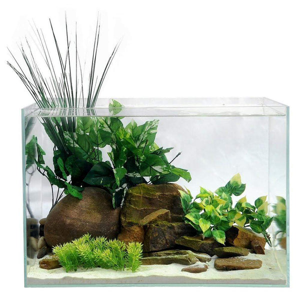 cad-lights-11-gallon-zen-